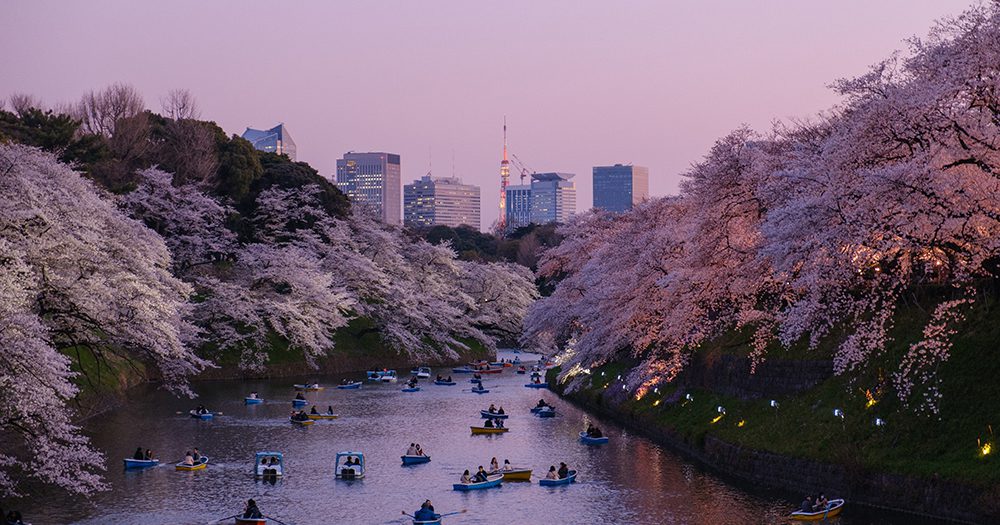 Hiring now: Wholesale Travel Consultant for MW Tours, Full-time, Brisbane-based