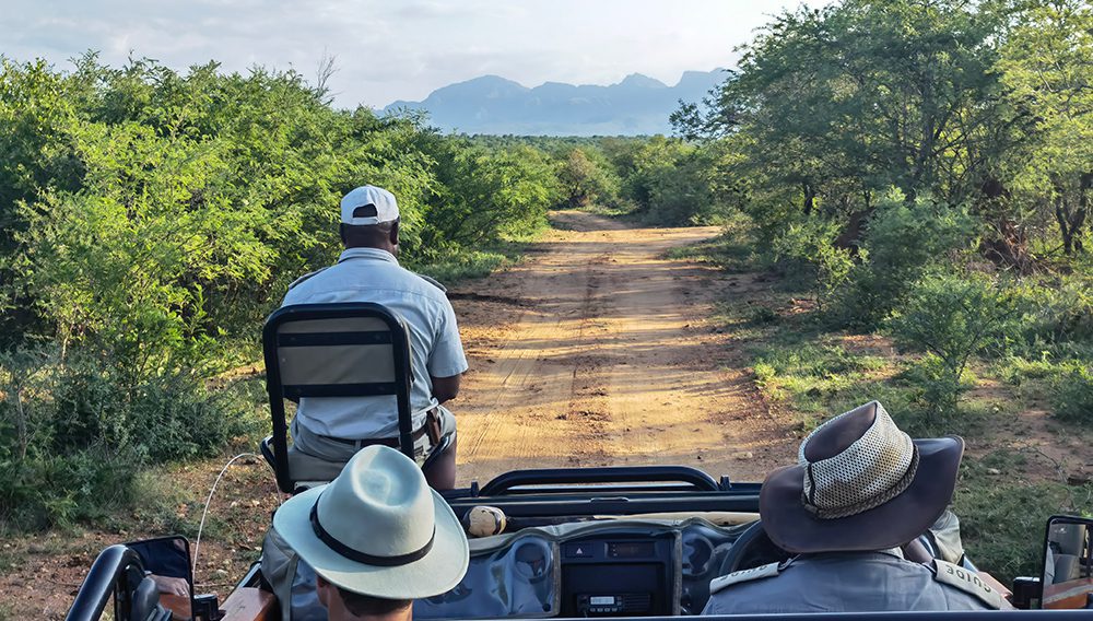 Hiring now: Wholesale Travel Consultant for MW Tours, Full-time, Brisbane-based 3 1000x568 MW Tours Africa IMG