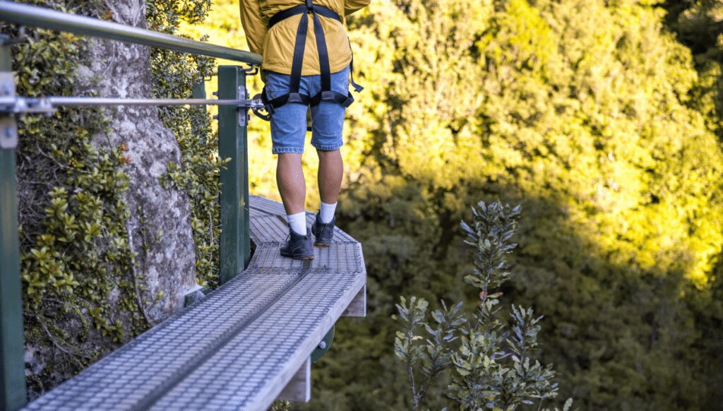 If You Seek adventures above an ancient forests, seek Rotorua Canopy Tours ©Miles Holden