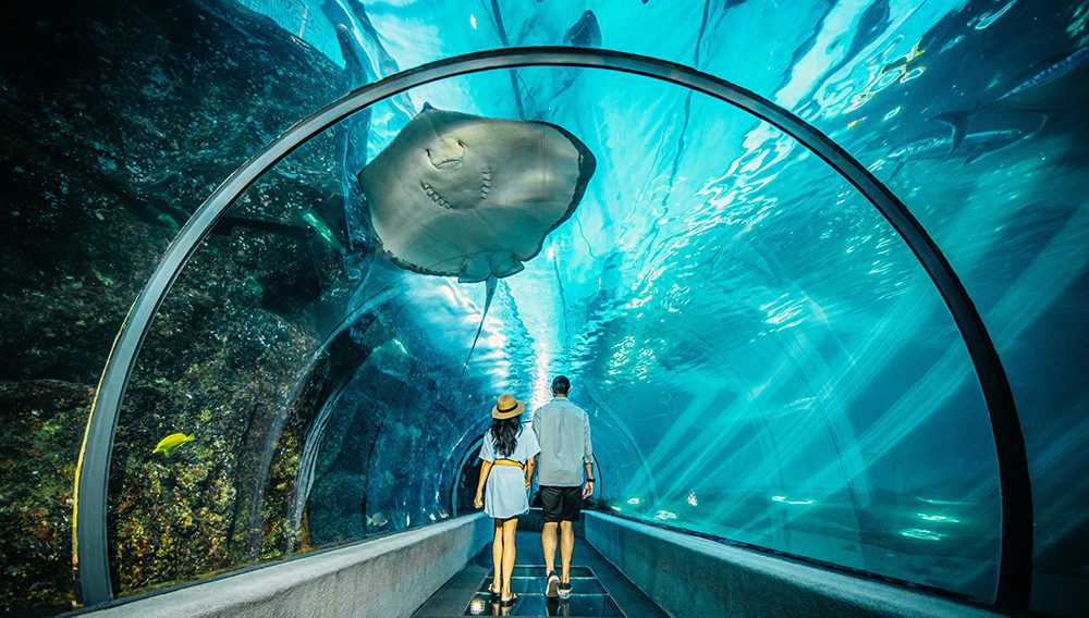 Be inspired by the conservation efforts at Maui Ocean Centre, Maui ©Hawaii Tourism Authority (HTA) / Tommy Lundberg