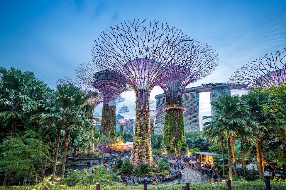 Supertree of Gardens by the Bay