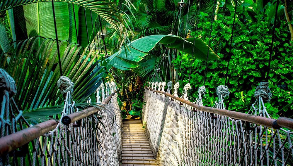 Wow clients with Designer Journeys’ Extraordinary Experiences 3 1000x568 Designer Journeys landscape tree water nature forest grass 689992 pxhere.com 1574900585595