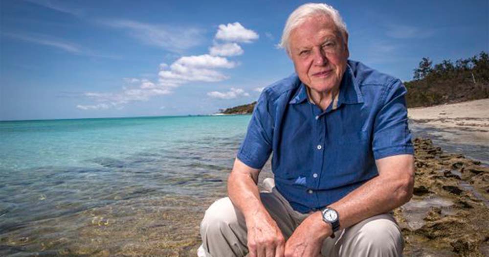 How 'David Attenborough' are you? Find out in Explore’s new competition