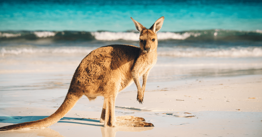 The 12-figure amount Aussies spent on travel just within Australia in 2022