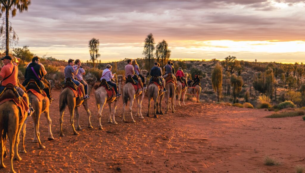 Uluru Camel Tours 