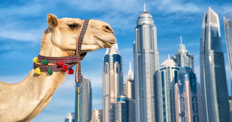 Dubai Expert: Travel trade training and platform re-launches for agents