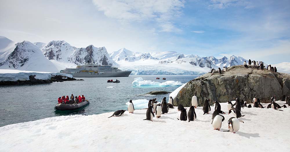 Cruise ship expedition in Antarctica