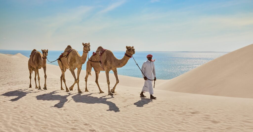 Beat inflation: get incredible stopover deals from only $19!