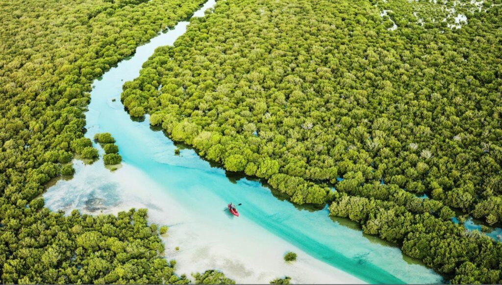 Beat inflation: get incredible stopover deals from only $19! 3 Qatar Tourism_Purple Island_Mangroves.jpg