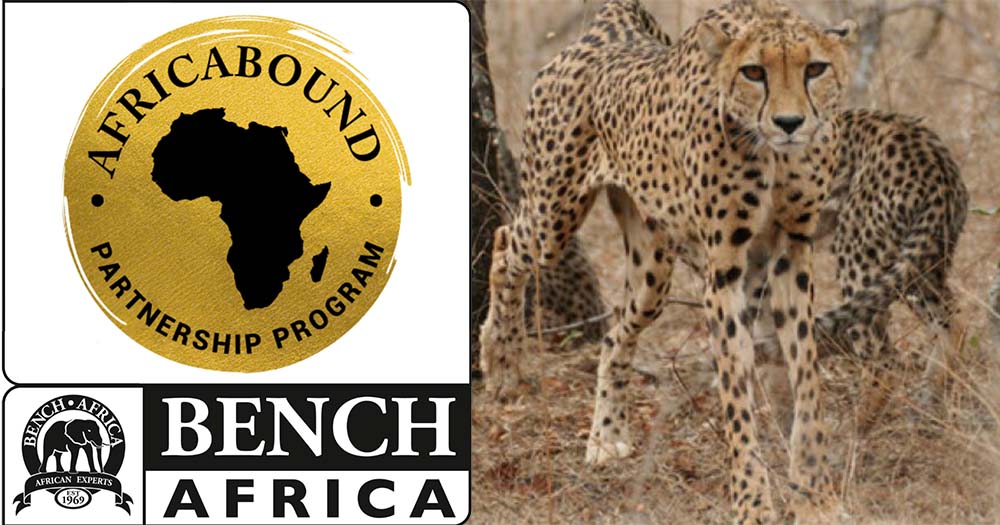 Bench Africa launches new AfricaBound travel agency program Daily
