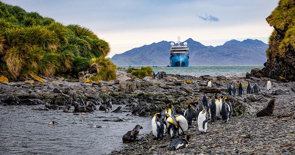 Double the polar adventure: Win 1 of 2 Albatros Expeditions trips worth up to $29K