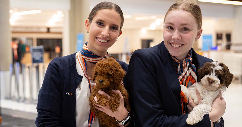 Paw patrol: BNE trials therapy dogs for domestic travellers