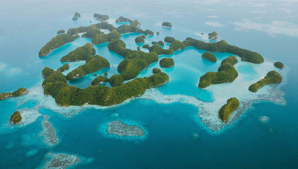 Paradise for less! Air Niugini drops agent-only Palau airfare from $311 return 1 Palau 70 islands Copyright Palau Visitors Authority