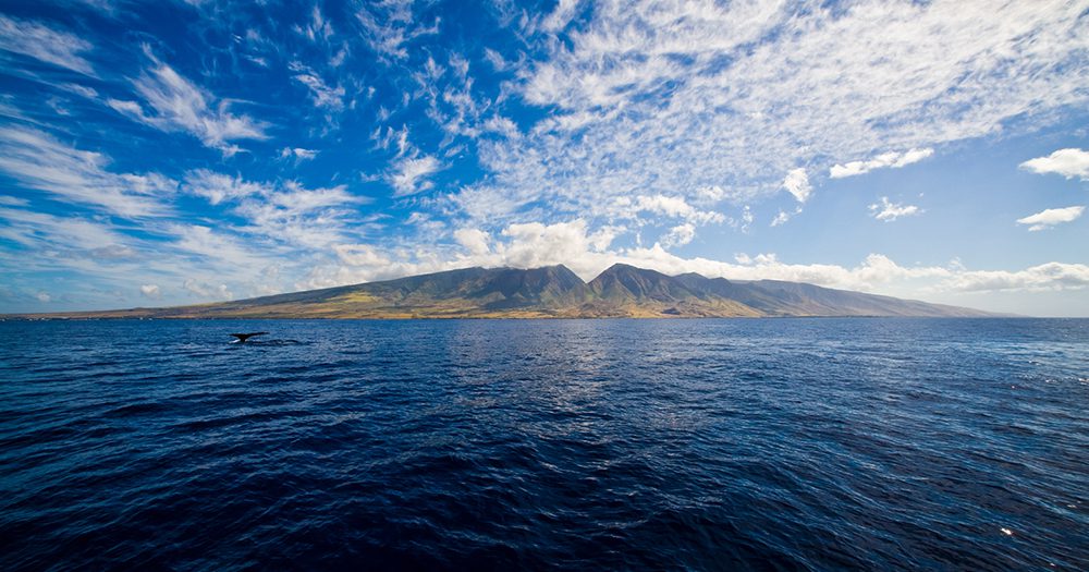 The Aloha Update: the history, heart & strength of Maui's Lahaina