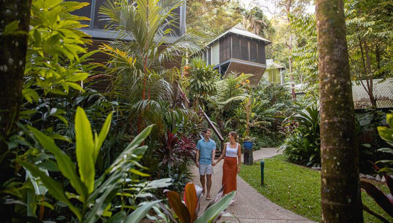 Intrepid expands luxe green stays with Daintree Ecolodge acquisition in Queensland