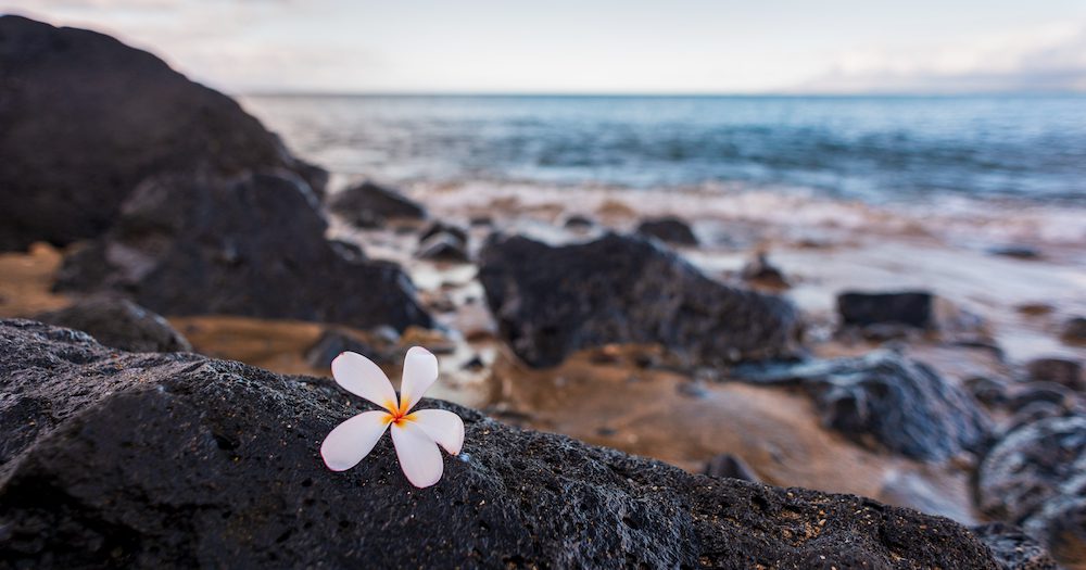 Thousands flee “unprecedented” Hawaiian wildfires; Maui airport inundated