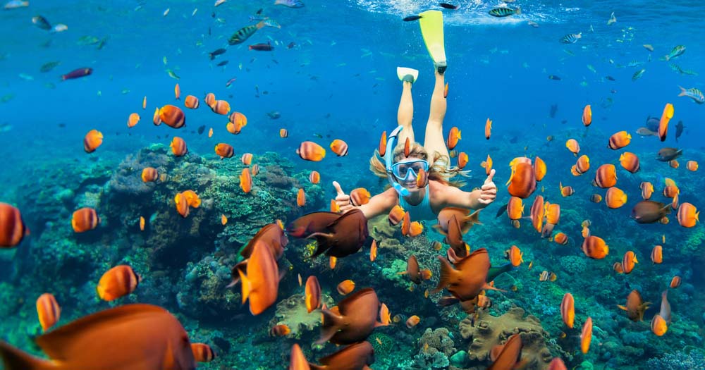 Woman snorkelling surrounded by tropical fish