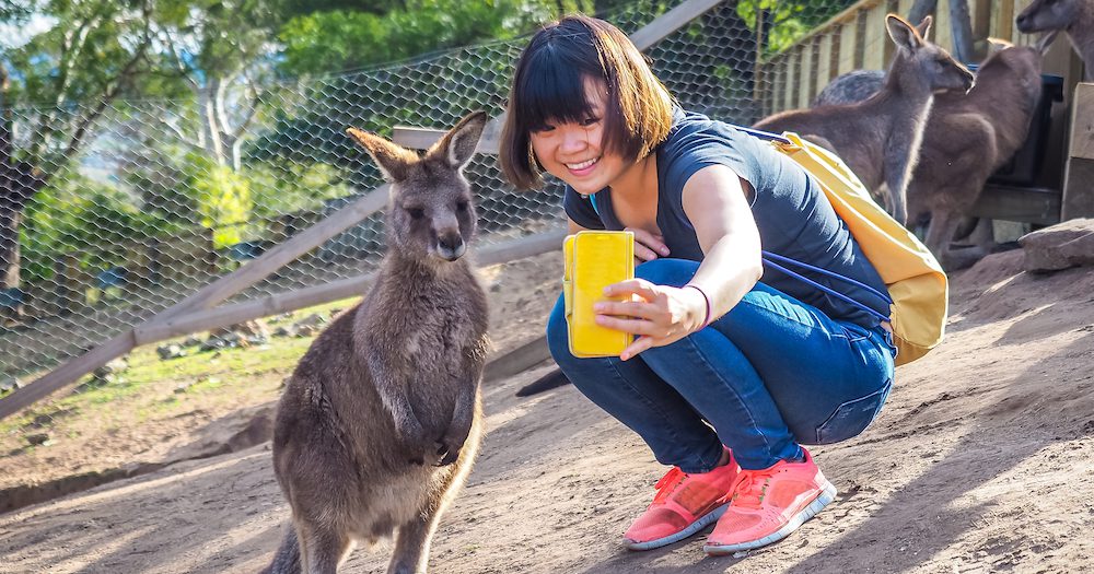 Tourism boost! China approves Australia as a group travel destination