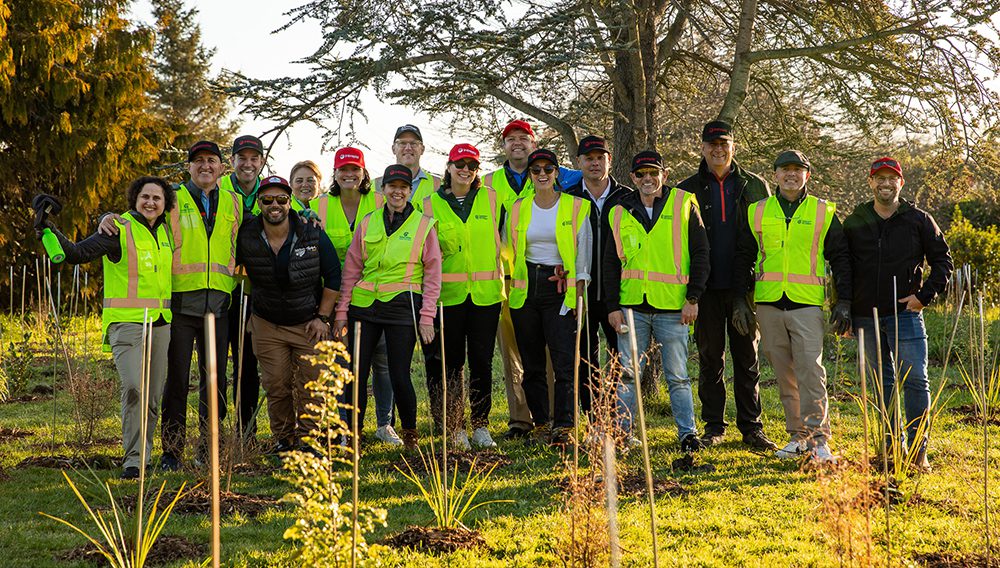 Travel Managers Tree Planting event in Christchurch hosted by Intrepid Travel