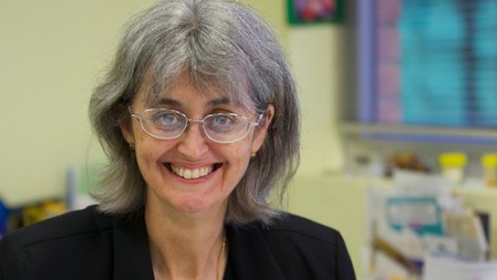 Are Aussies ignorant of vital health intel for international travel? 1 International holidays
travel doctor Dr Deb Mills