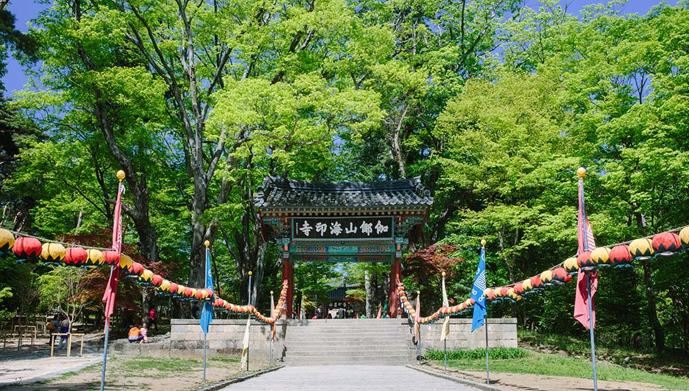 Intrepid Travel Korea Hainsa Temple Gate 559489935 getty pa