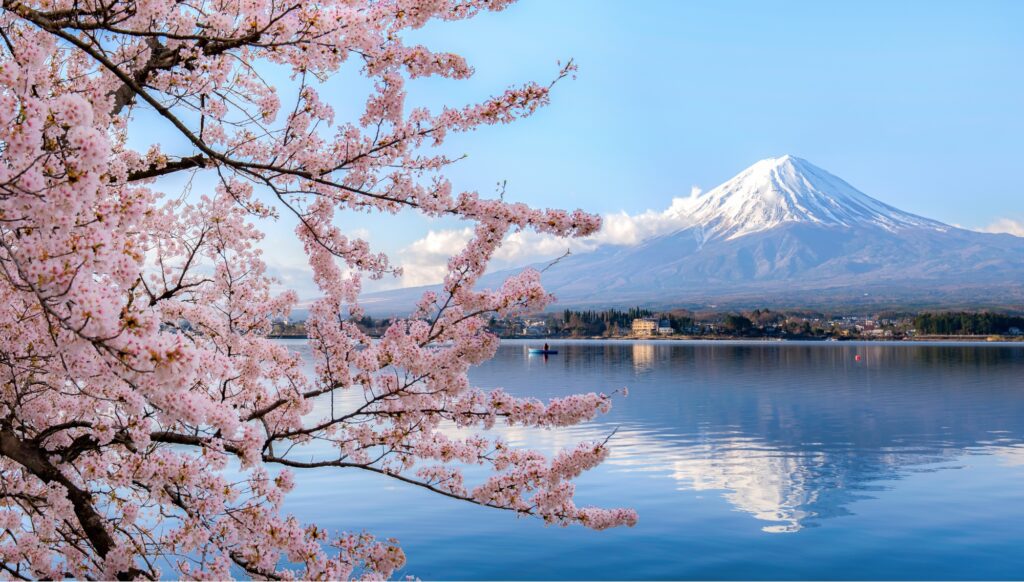 Explore Mt Fuji & the Five Fuji Lakes