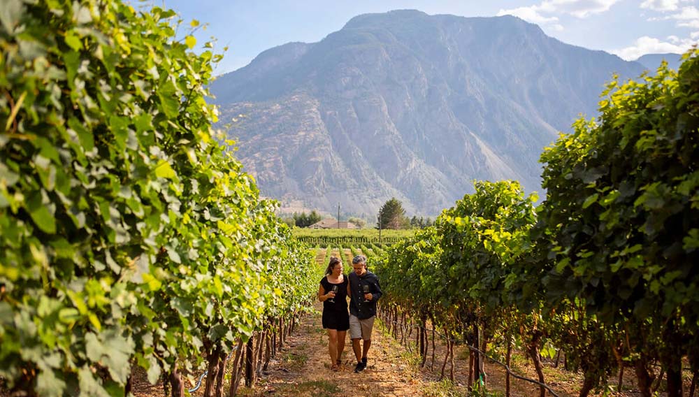 DBC Couple walking through the vineyards at Corcelettes Estate Winery Similkameen Valley Darren Robinson