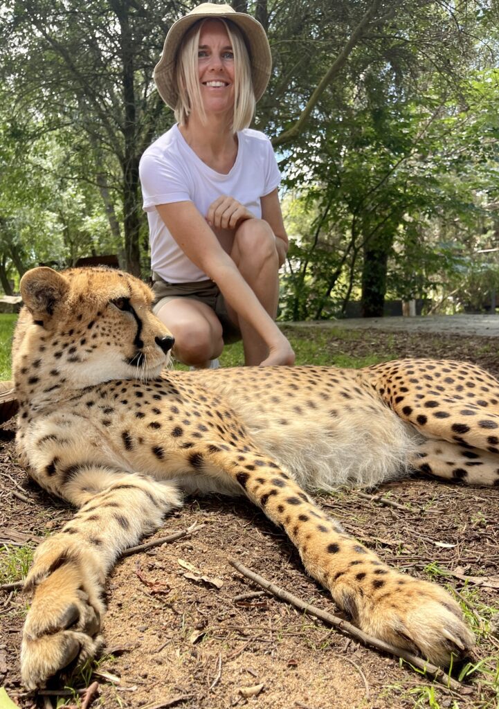 Jamala Wildlife Lodge Cheetah Encounter