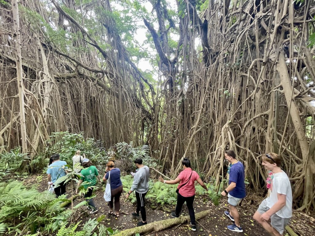 6 things that will blow your mind on Vanuatu’s adventure island 5 Vanuatu Tanna