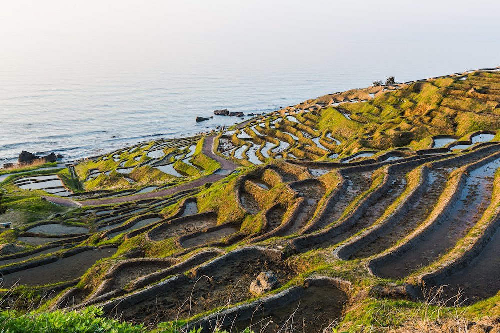 Rice terraces on Noto Peninsula.