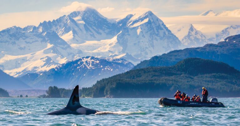 Celebrate World Whale Day with 25% off Lindblad Expeditions