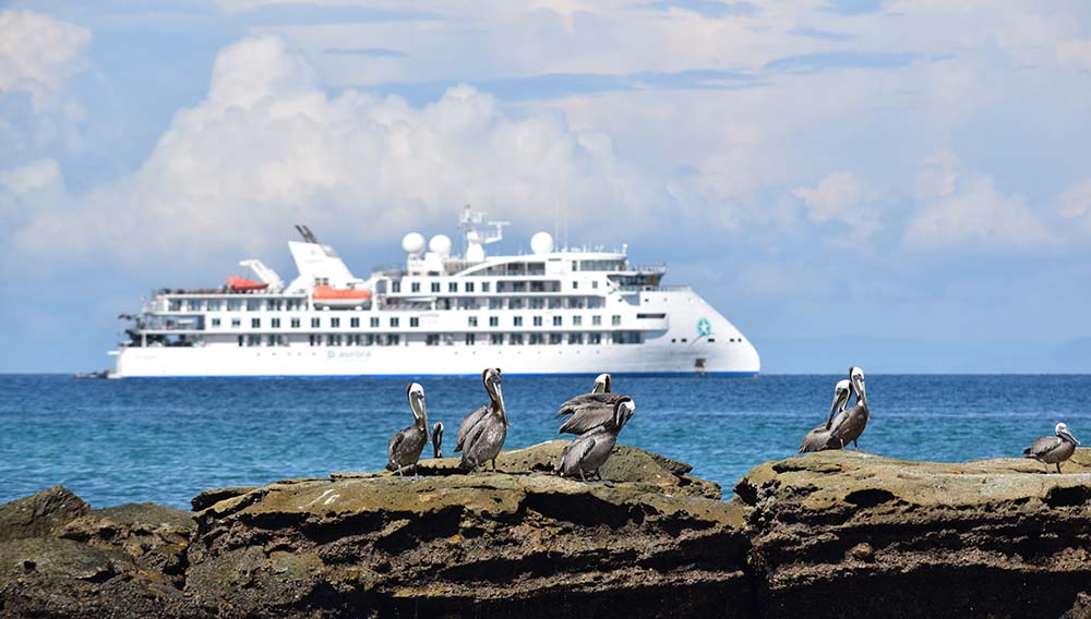 Global roaming: What’s hot in luxury expedition & soft adventure cruising 5 Aurora The Greg Mortimer Bartolome Island Panama cConrad Weston
