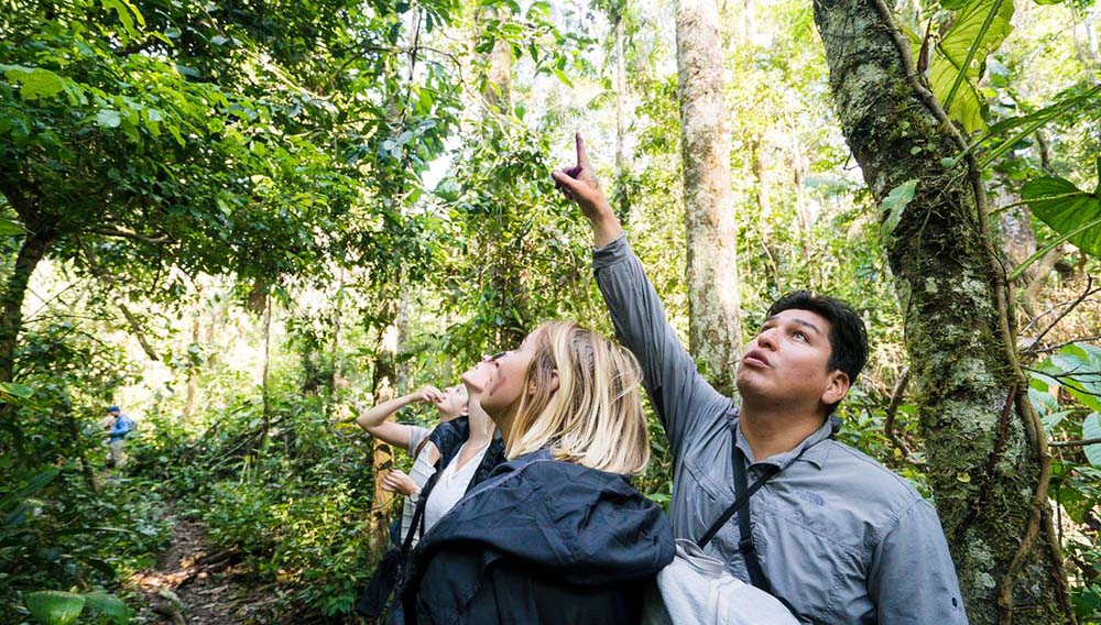 Intrepid Travel peru amazon jungle Stephen Parry