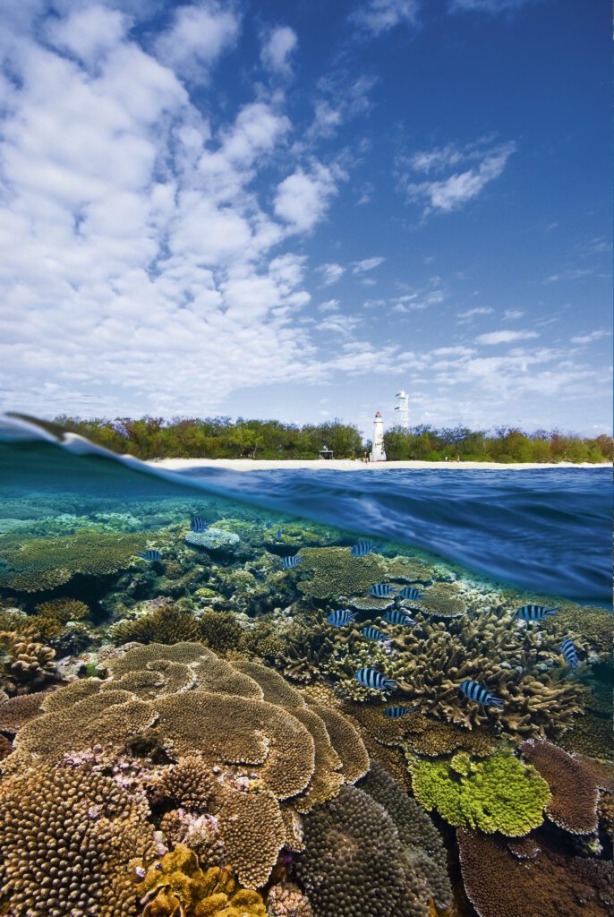 Bundaberg - Lady Elliot Island