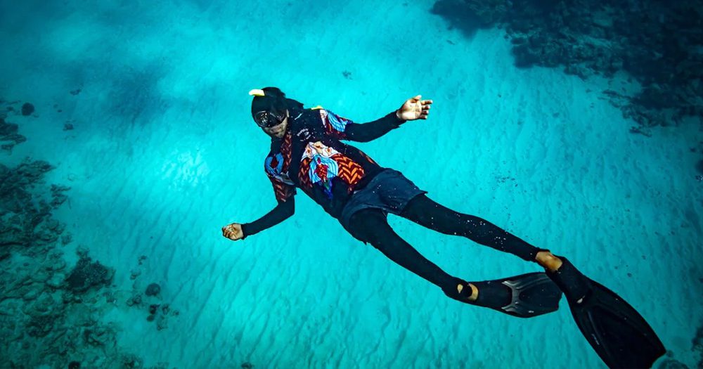 Dreamtime Dive-and-snorkel Experience CO