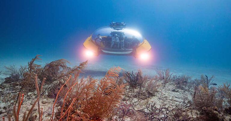 Under the sea: Next-gen Scenic Neptune II submarine to debut Down Under