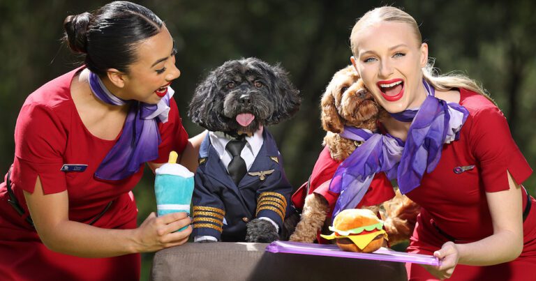 Pet-friendly skies: Virgin set to be first airline to fly pets in cabins in Australia