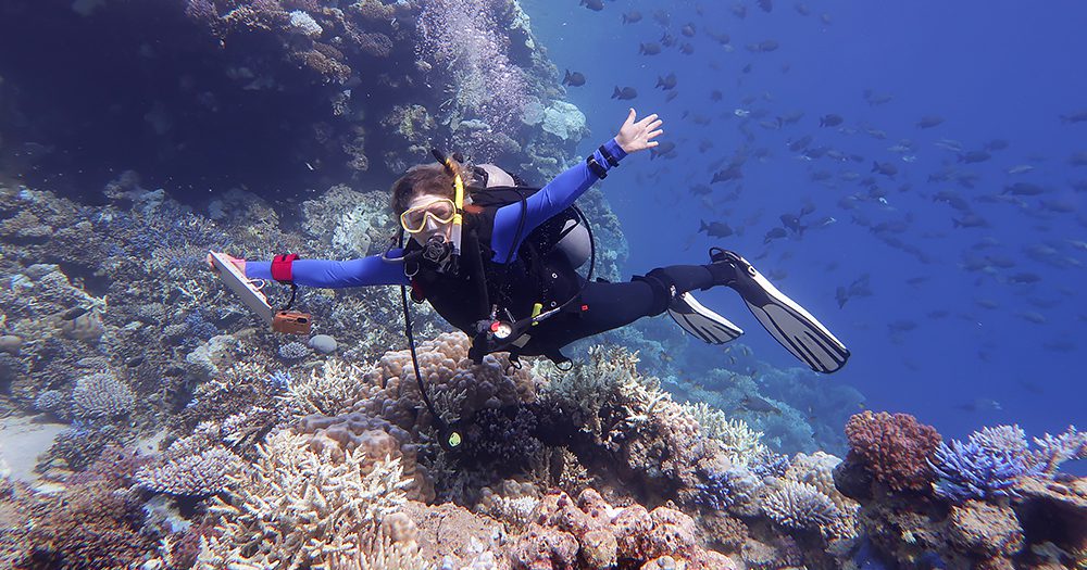 Regenerate the reef: Join Captain Cook Cruises Fiji for 'Marine Month' May