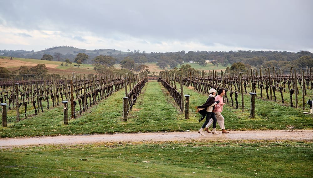 Bird in Hand Winery, Adelaide Hills