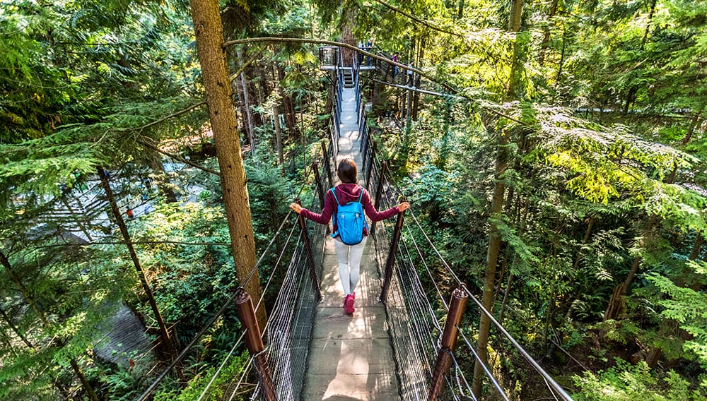 Capilano Suspencion Bridge Vancouver