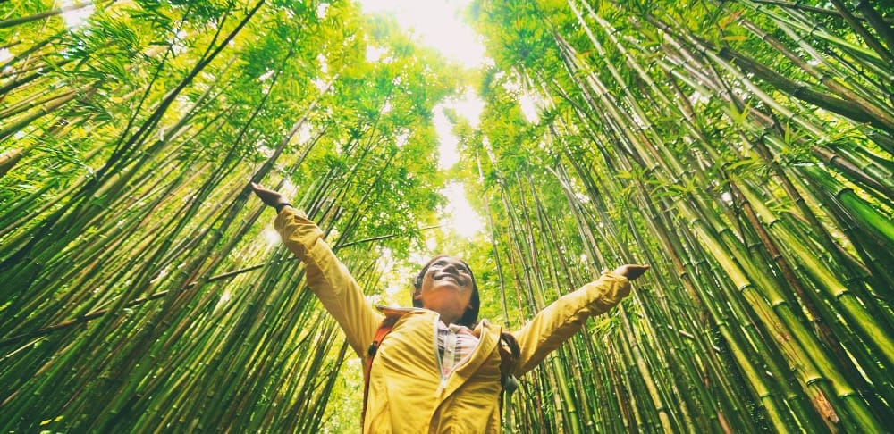 Woman in a bamboo forest in Japan. (StudentUniverse)
