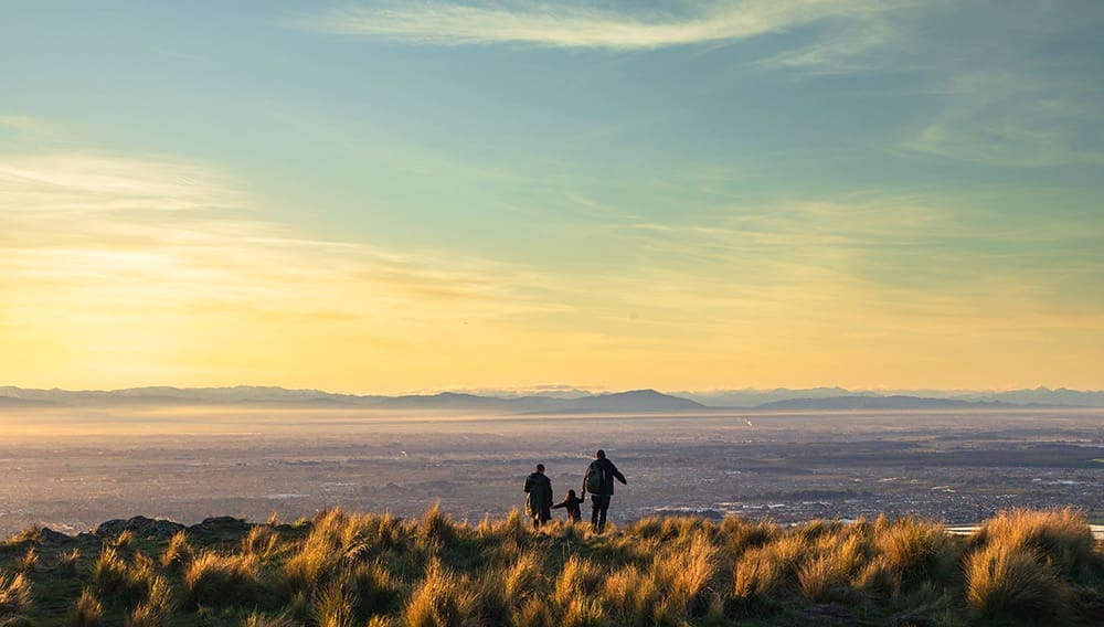 ANZCRO New Zealand Highways Collection – Scenic Highway