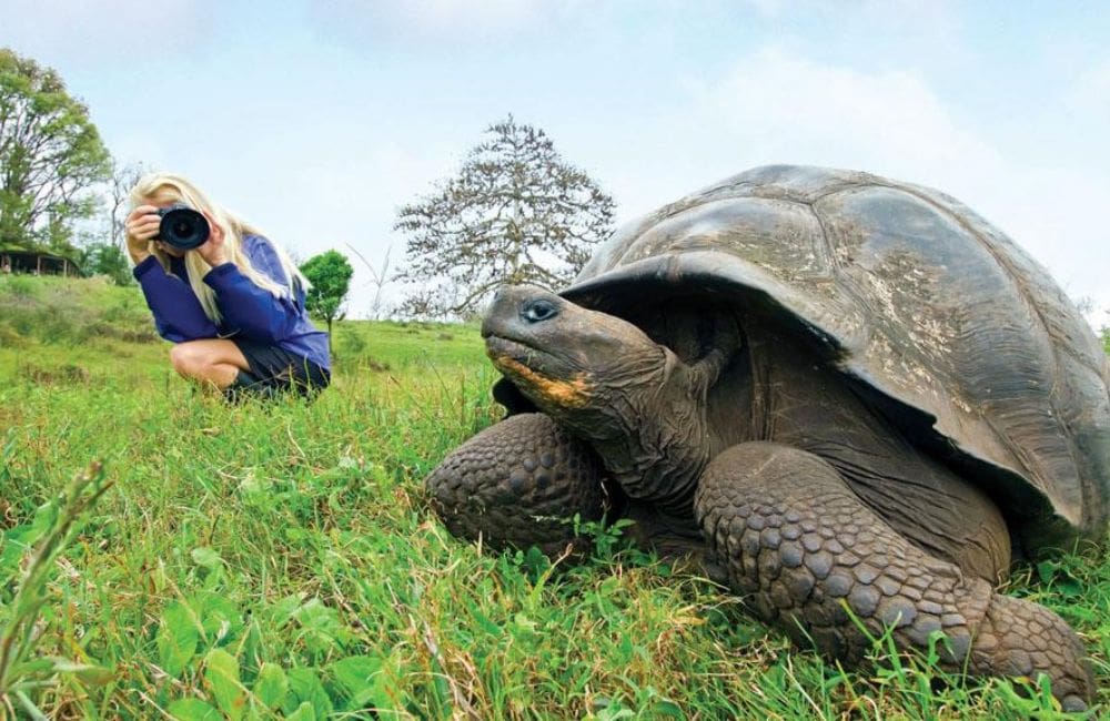 The Virtuoso survey found growing interest in places like Galapagos