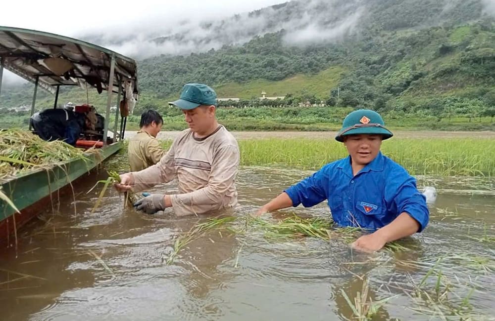 Intrepid launches emergency Vietnam appeal in wake of Super Typhoon Yagi; trips still operating 3 Crop fields have been destroyed in Vietnam's Dien Bien province. Intrepid Vietnam Typhoon Yagi Appeal