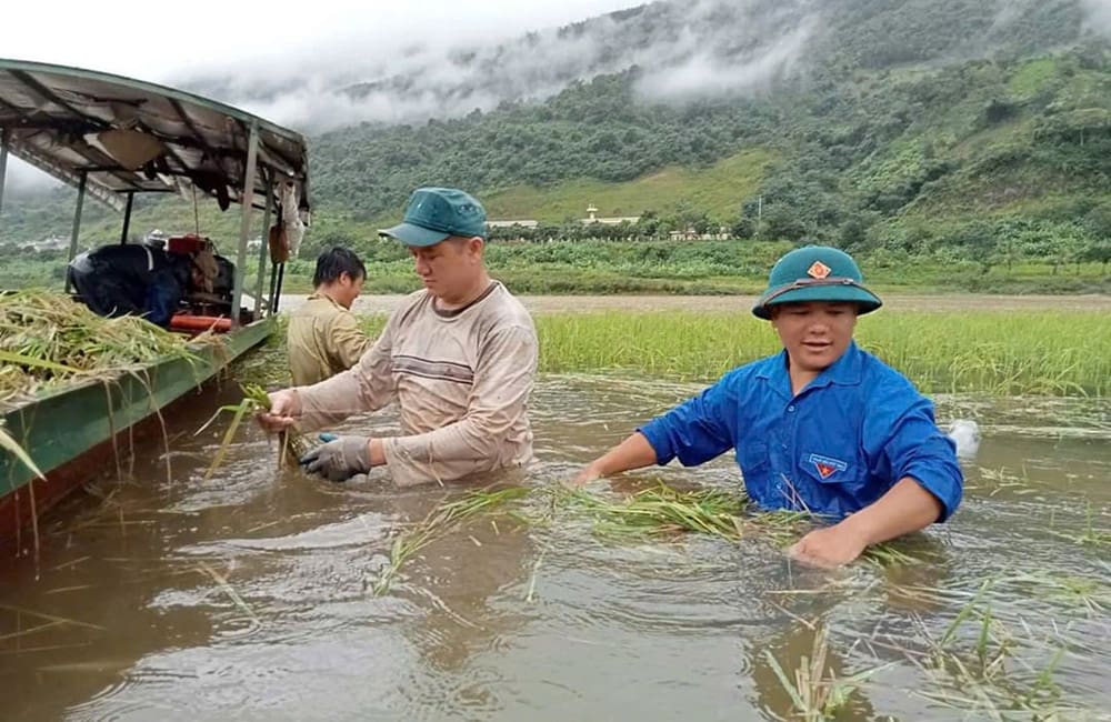 Crop fields have been destroyed in Vietnam's Dien Bien province. Intrepid Vietnam Typhoon Yagi Appeal