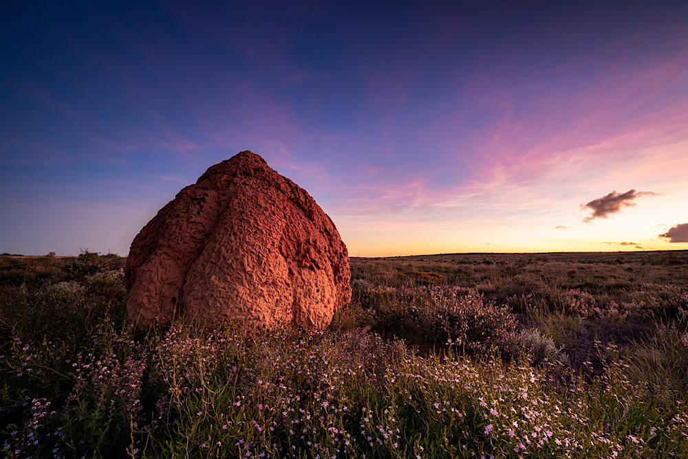 How Aussies can help regenerative tourism at home: New data reveals where travellers are missing out 2 Exmouth, WA wins best Small Tourism Town