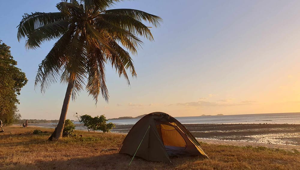 Tent and palm tree on beach in Cape York, Queensland, Australia