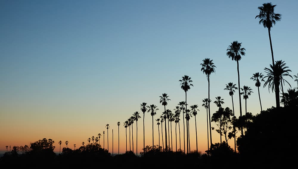 Los Angeles