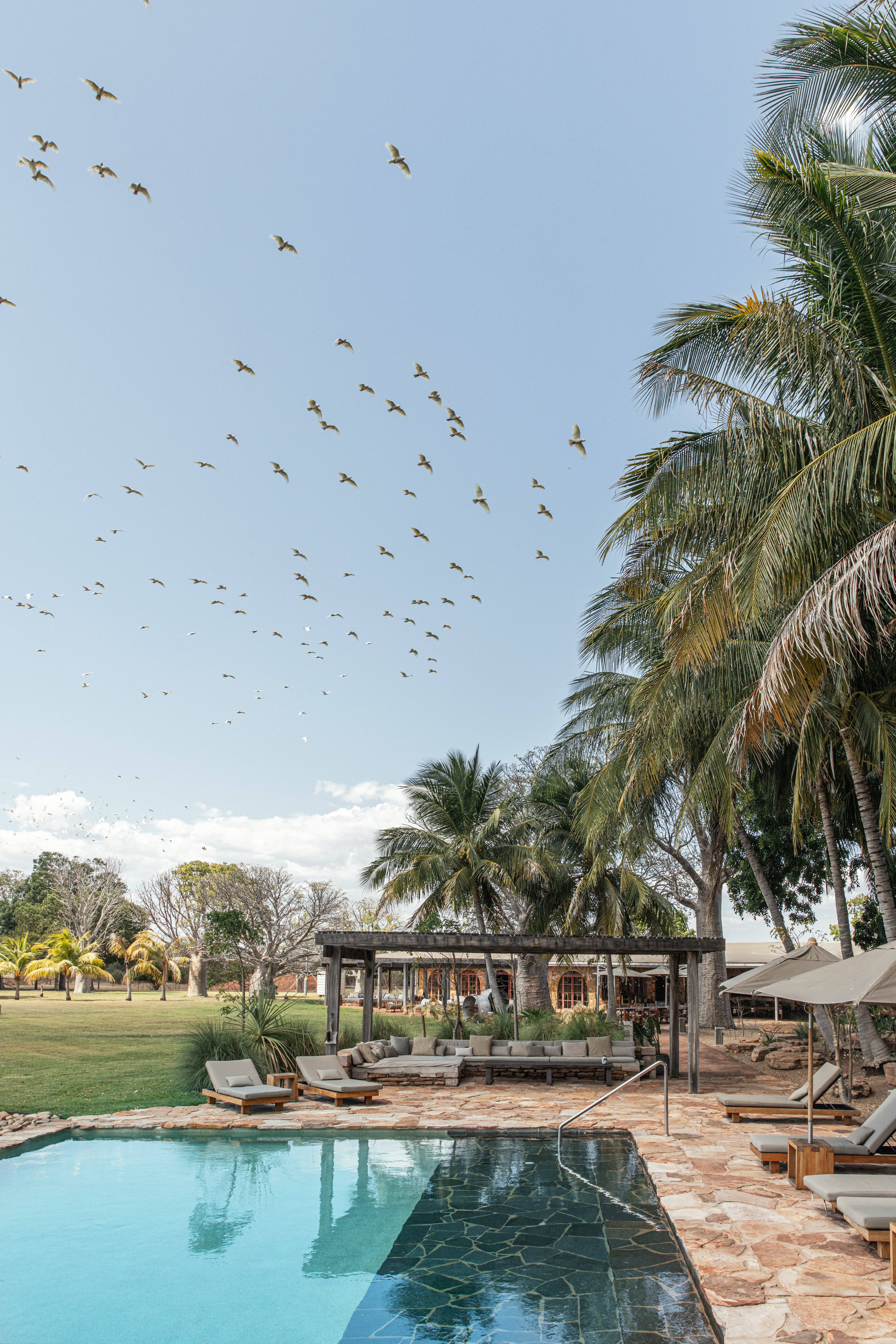 Remote NT outback stay Bullo River Station to undergo extensive renovation 2 A view to nature from the pool at Bullo River Station © Elise Hassey