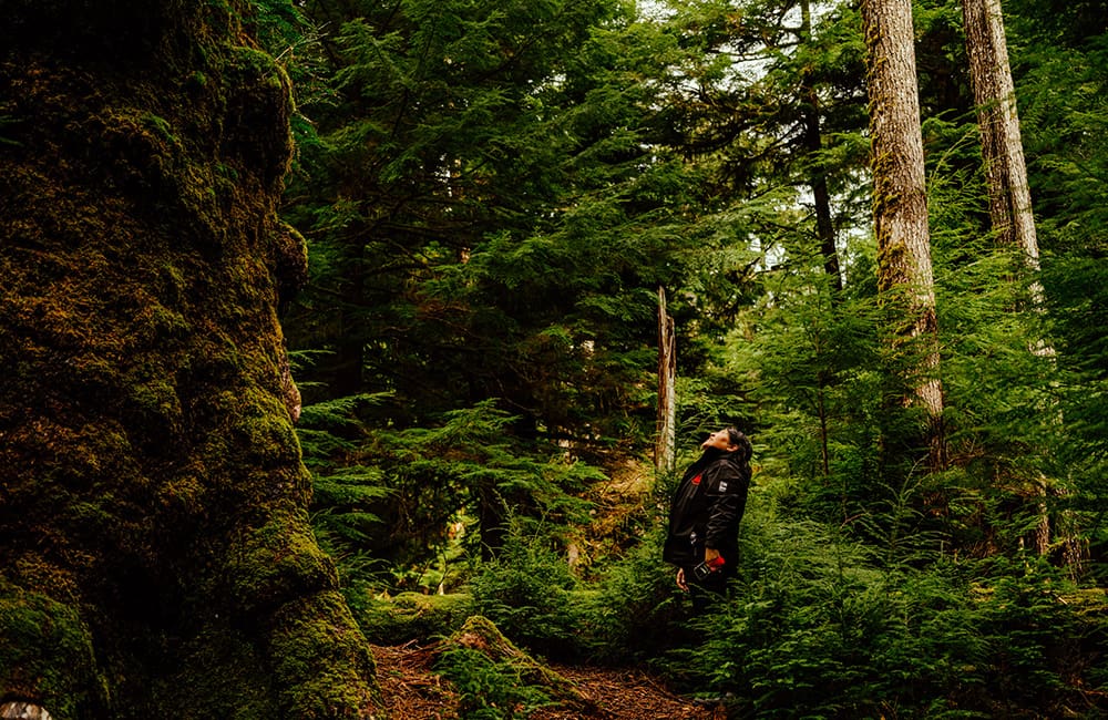Woman looking up at tree in the Gwaii Haanas National Park Reserve and Haida Heritage Site – regenerative tourism in Canada. Image: Kamil Bialous